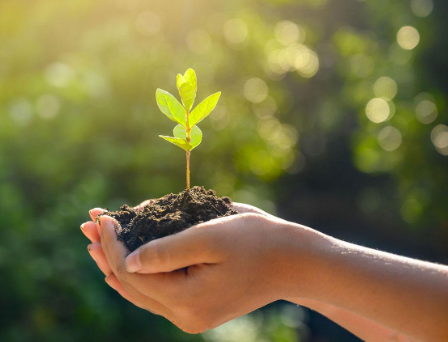 Six Ways Pantry Fuel Promotes Sustainability